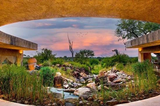 Sabi sabi en terre d'Afrique